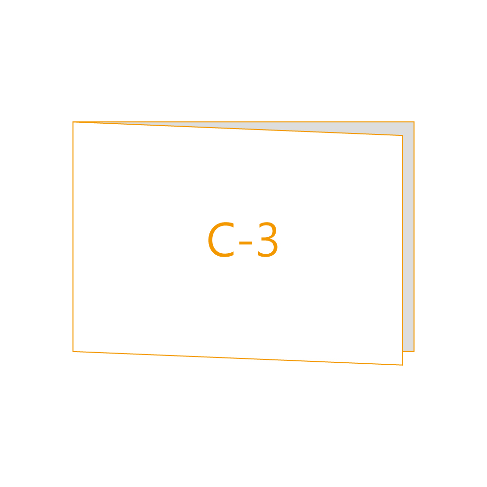 C-3 Type 카드