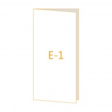 E-1 Type 카드